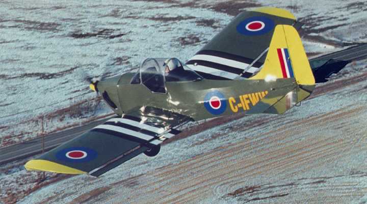 e_z_king_cobra.jpg (39851 bytes)